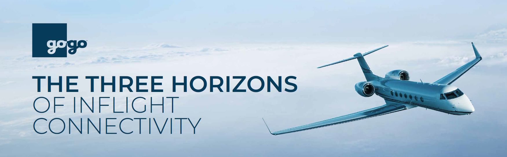 3 Horizons 3 Horizons